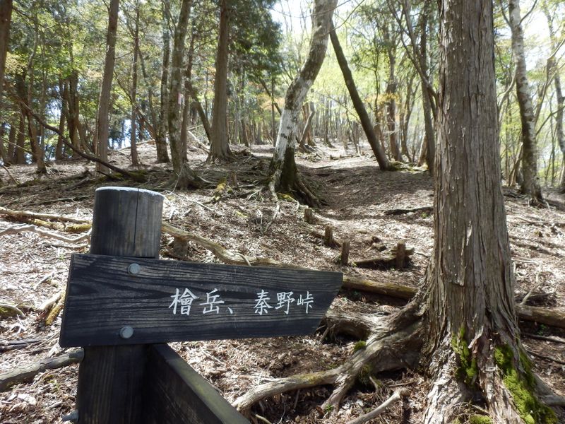 尾根幅がぐんと広くなった