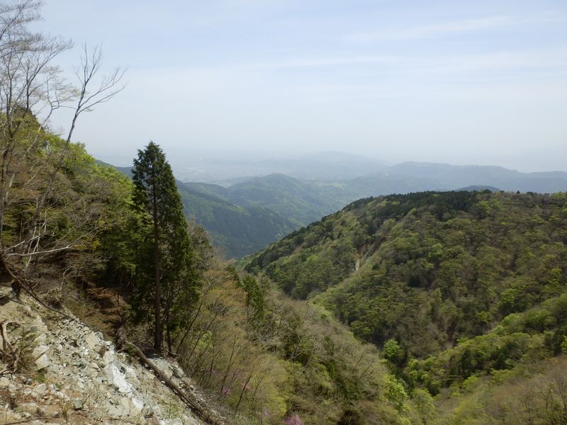 鍋割山から寄に続く山なみ