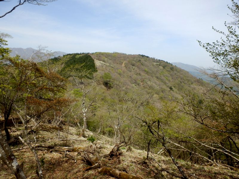 振り返ると檜岳