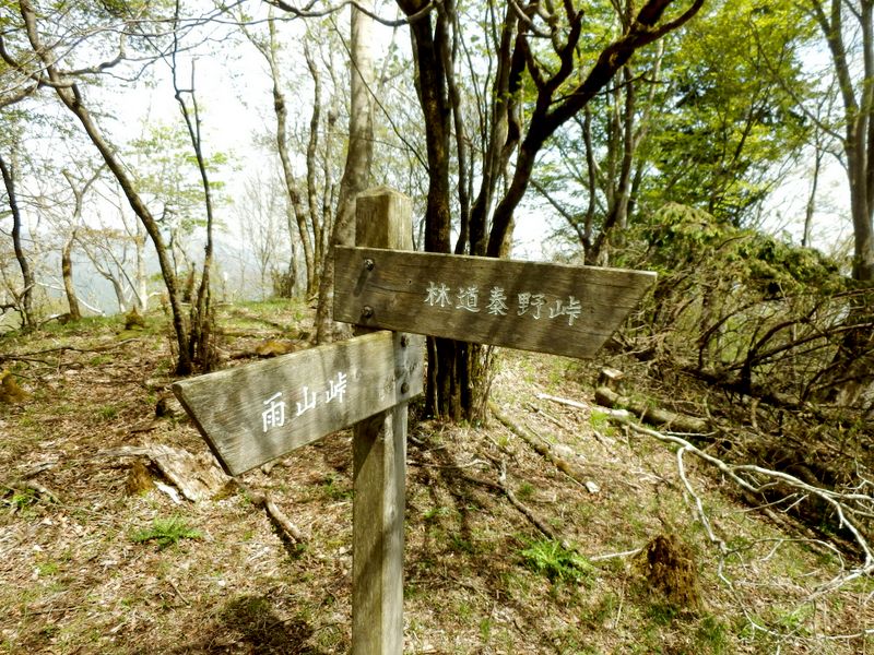 林道秦野峠に