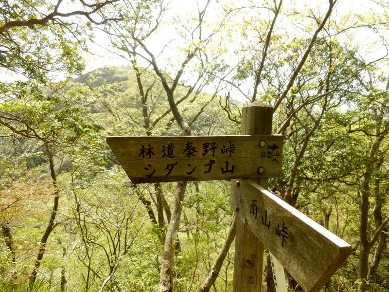 「日影山へ」の落書き