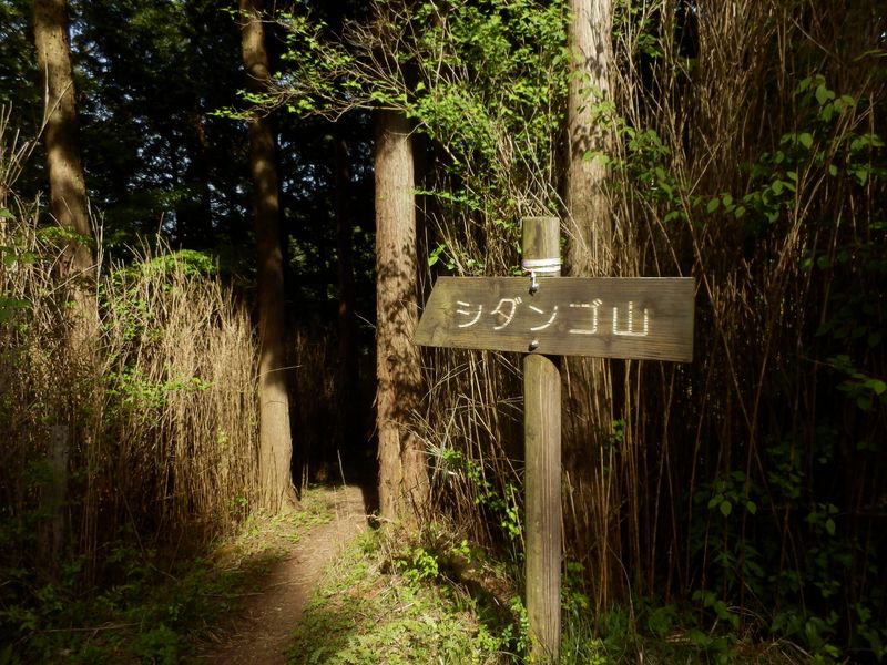 シダンゴ山入口