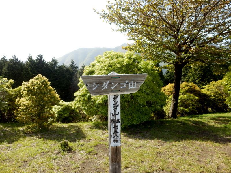 シダンゴ山に到着