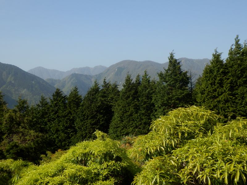 その右に鍋割山稜