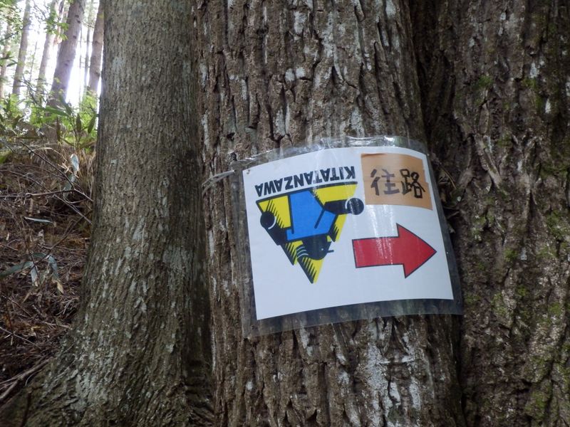 北丹沢12H山岳耐久レースのコース