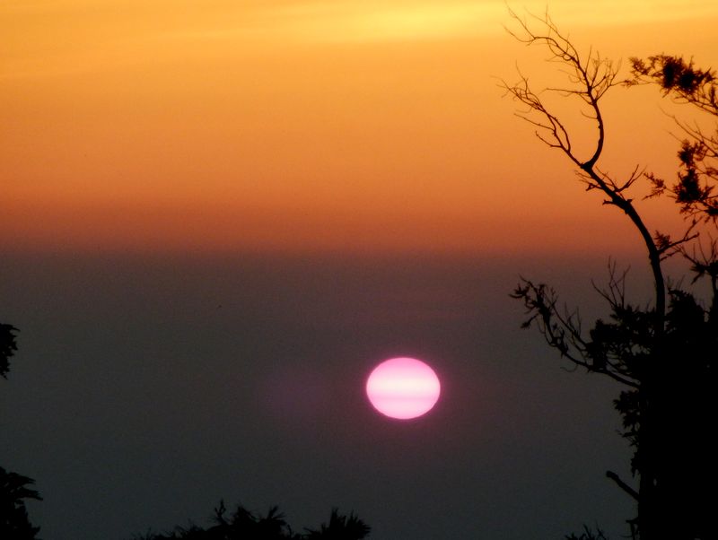 昇って来た太陽は楕円形