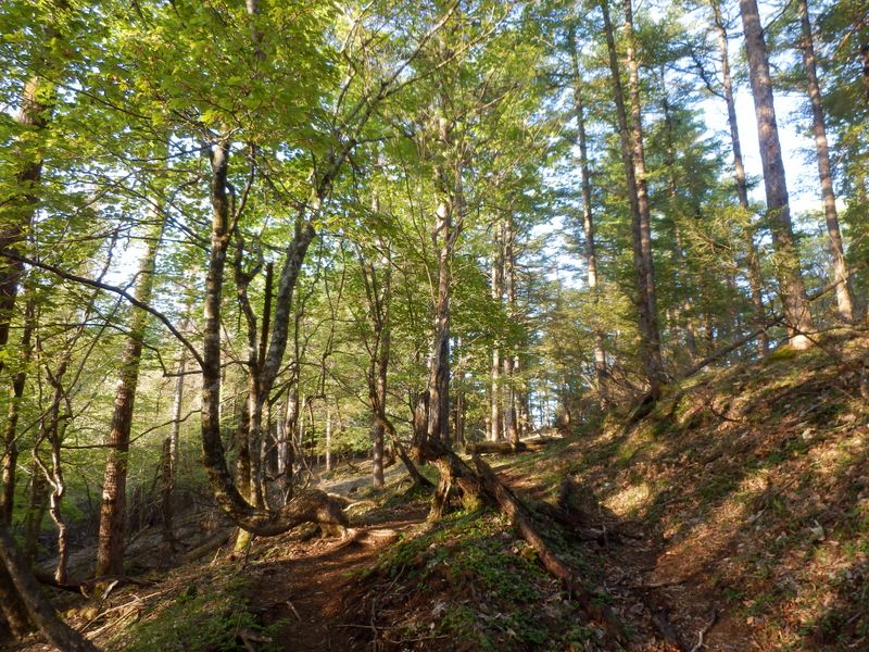 日が差してきた