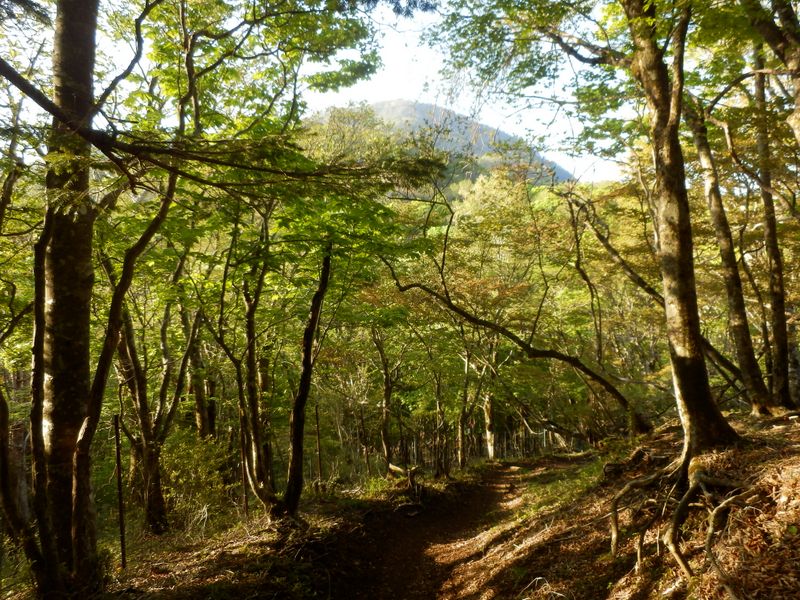 蛭ヶ岳がまだ遠い