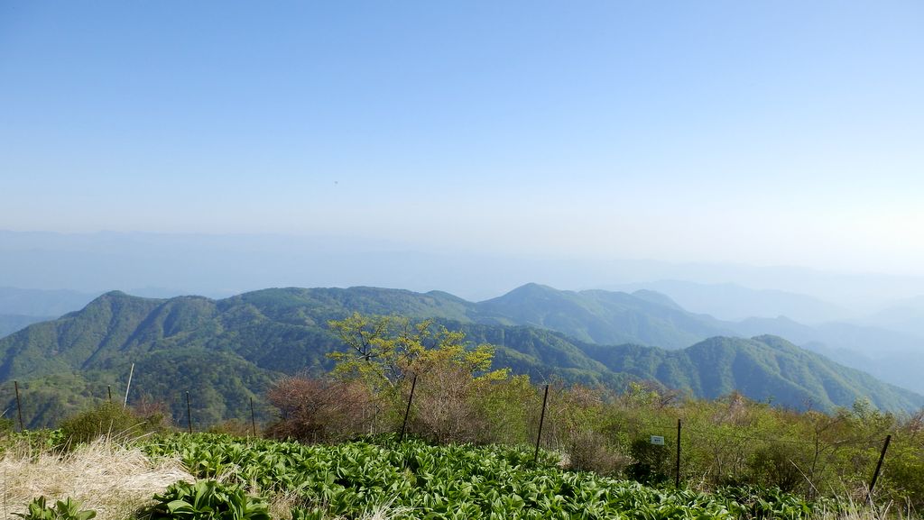 袖平山から焼山まで