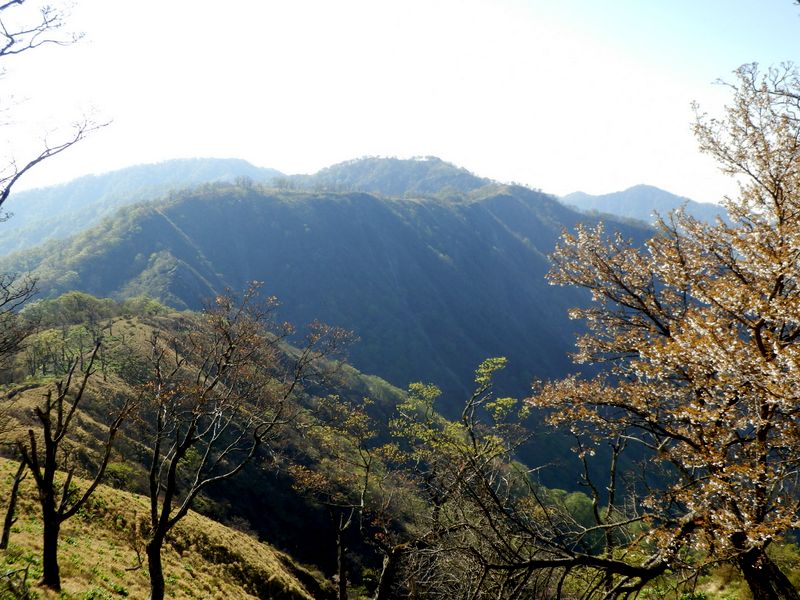 塔ノ岳、不動ノ峰、丹沢山
