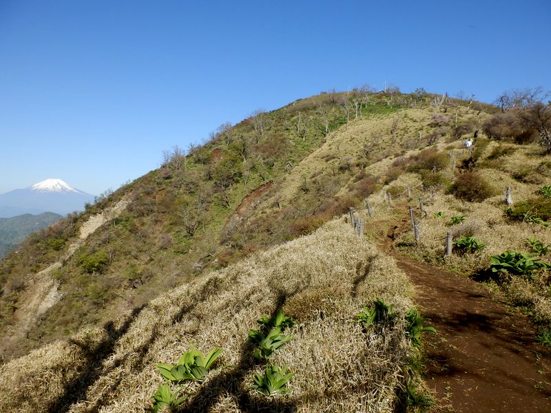 蛭ヶ岳を振り返る