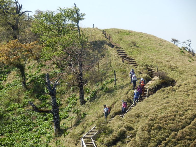 棚沢ノ頭を越えて