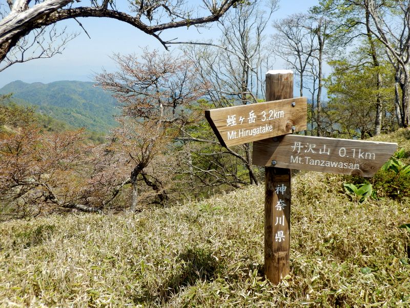 丹沢山0.1km