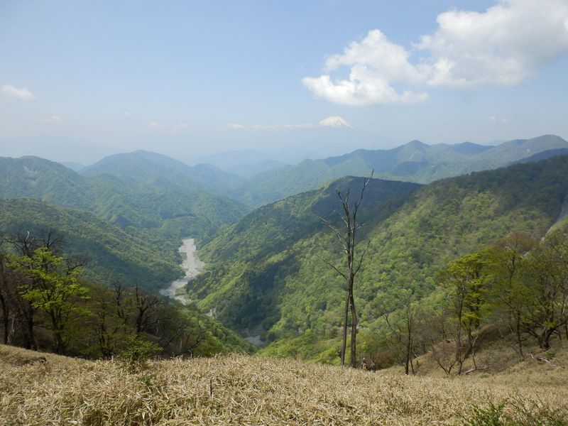 箒杉沢を見下ろす