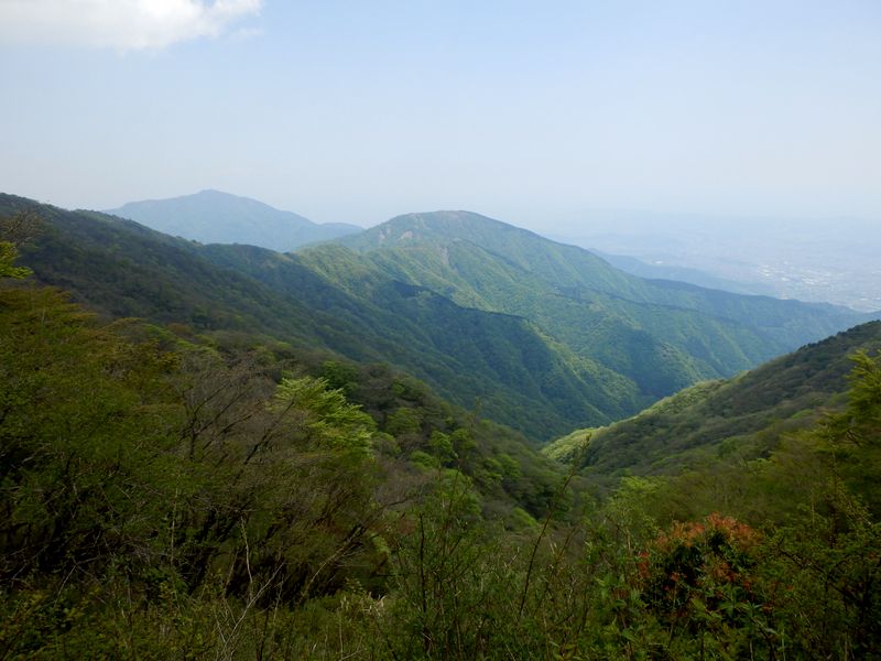表尾根の三ノ塔（中央）と大山