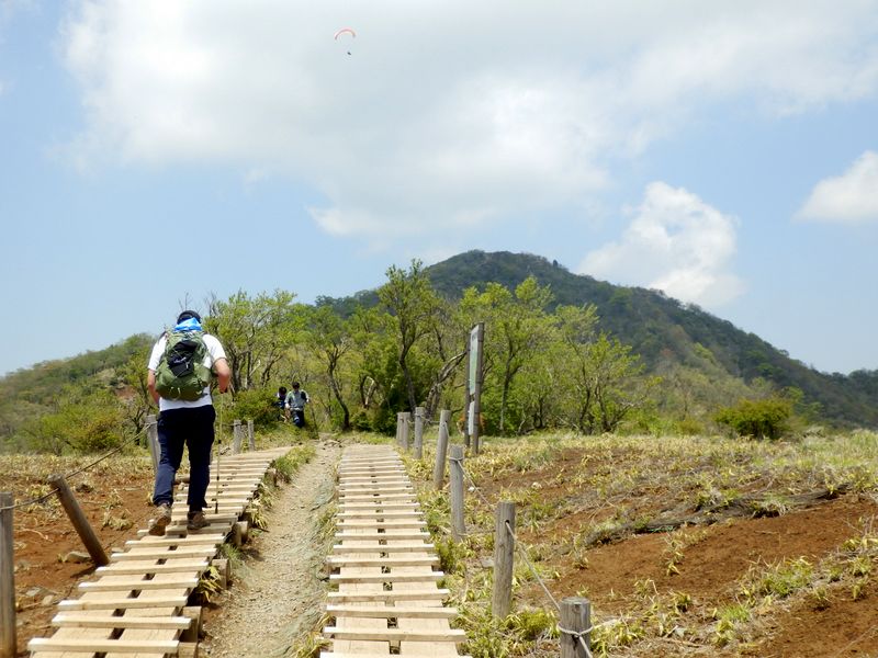 花立より塔ノ岳を振り返る