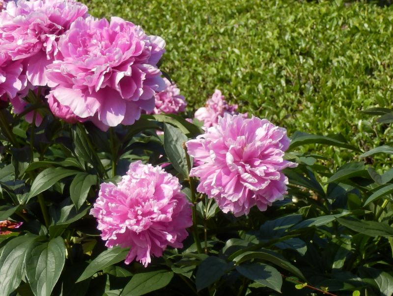 人里に帰って来た