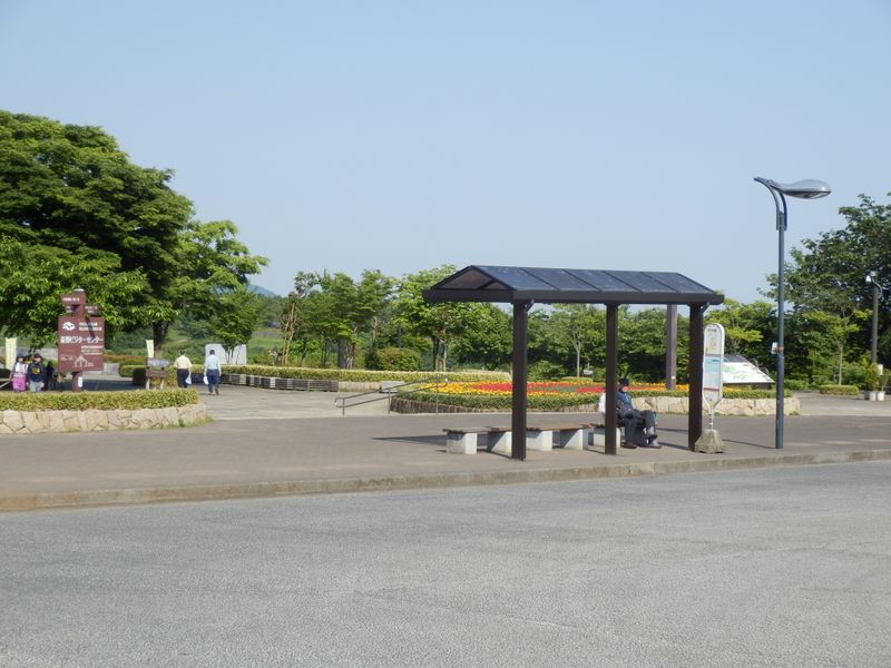 大倉バス停にゴールイン