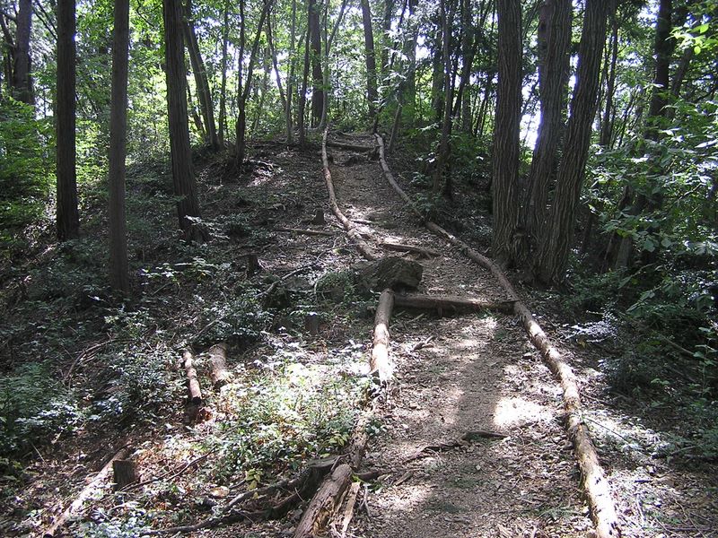 日和田山 -- ほんの少し登り返す