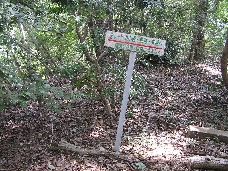 日和田山 -- 尾根道と別れ、「チャートの小径」に進む