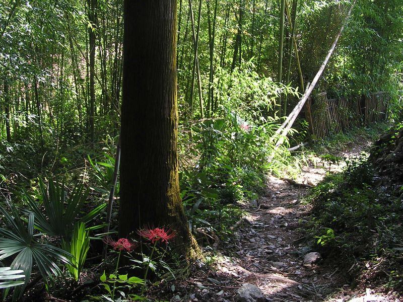 日和田山 -- まもなく登山道が終わりそう
