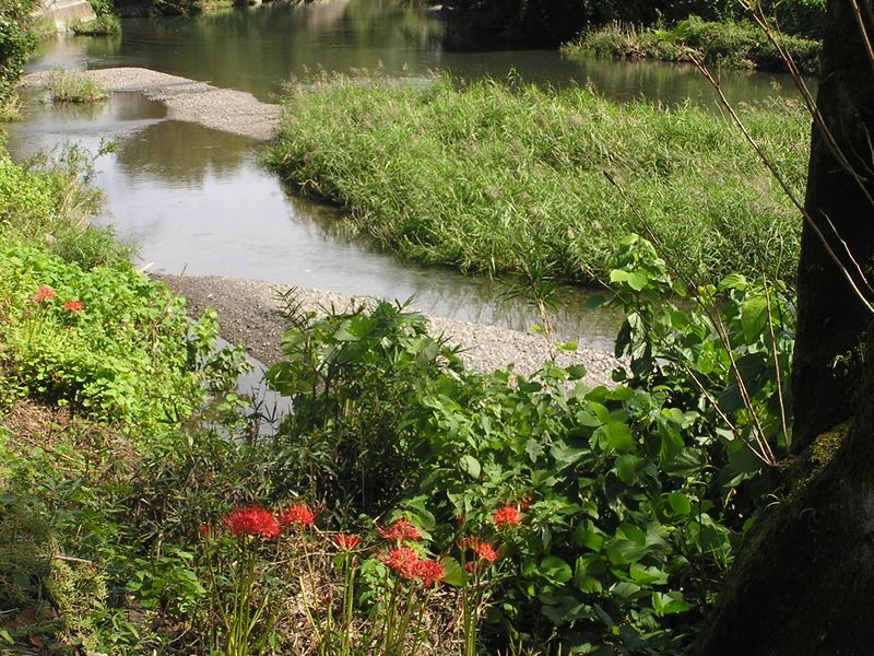 日和田山 -- 高麗川の清流