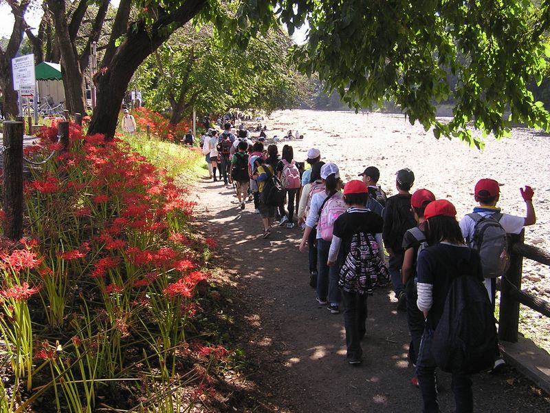 日和田山 -- 高麗川の河原まで小学生たちとともに歩いて来た