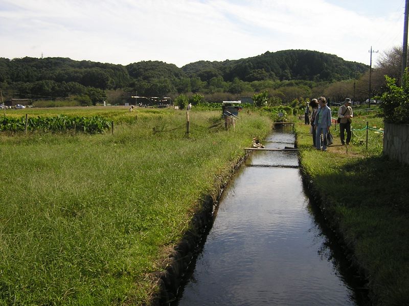 日和田山 -- メダカに似た小さな魚が泳いでいた