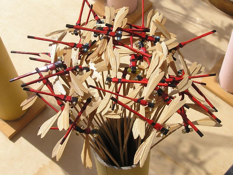 日和田山 -- 赤トンボは何かに使えるのかな？