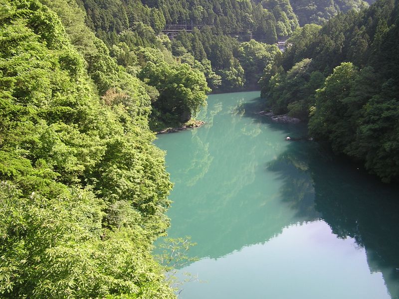 数馬峡橋より、多摩川下流方向を望む。この先に白丸ダムがある