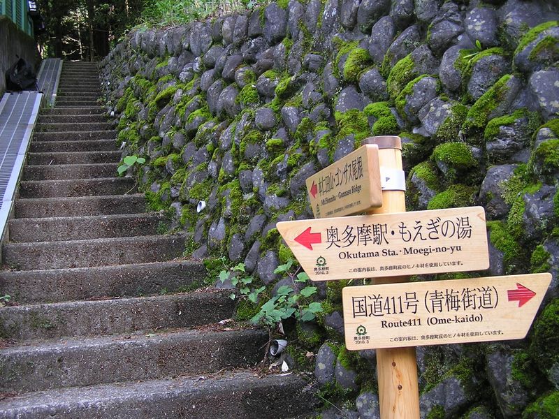小さな神社のわきの石段を上る