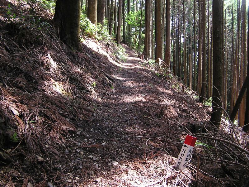 NHK施設へ、と書かれた杭がいくつも打たれている