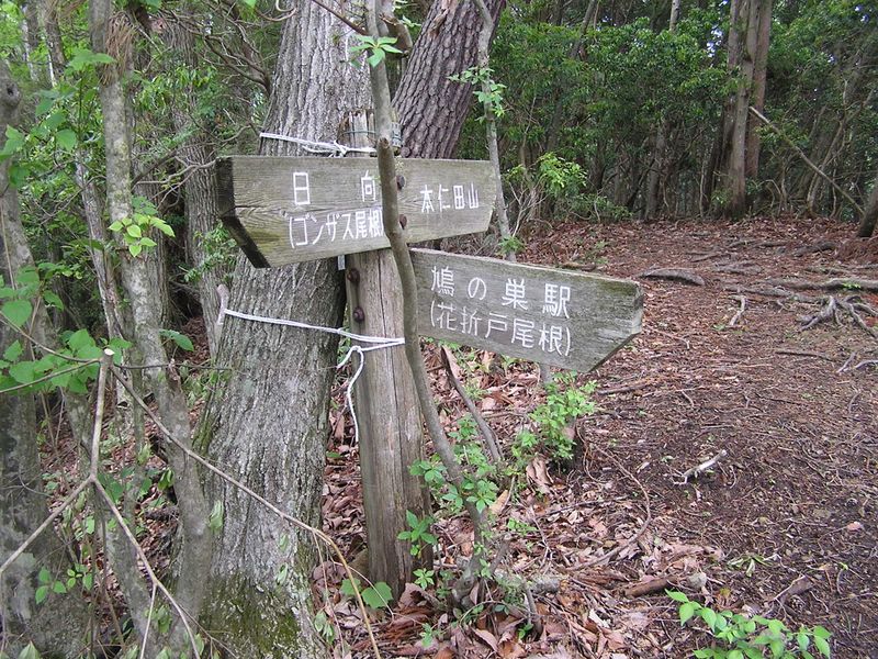 本仁田山 -- 花折戸尾根を右から合わせる