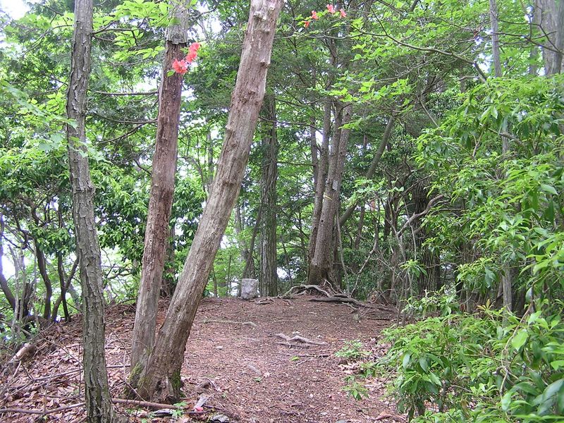 本仁田山 -- チクマ山の頂上を通過
