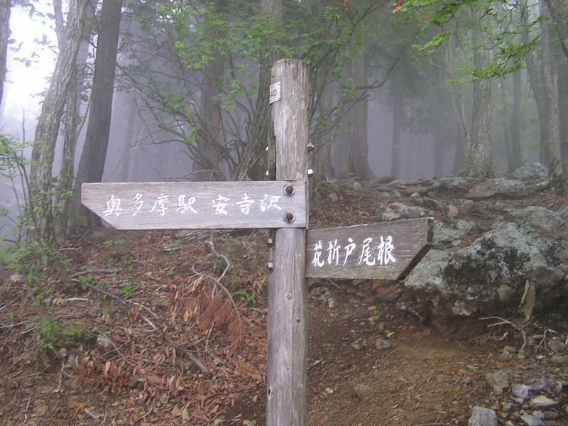 本仁田山 -- 大休場尾根を左から合わせる