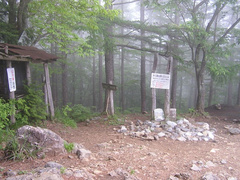 本仁田山 -- 本仁田山に到着。何とも侘しい雰囲気