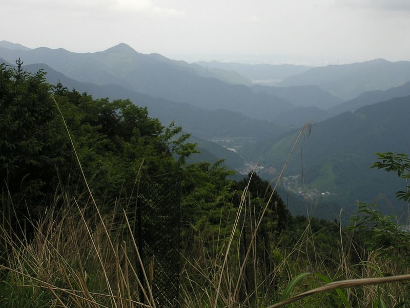 本仁田山 -- 花折戸尾根の伐採地より、左に高水三山を望む