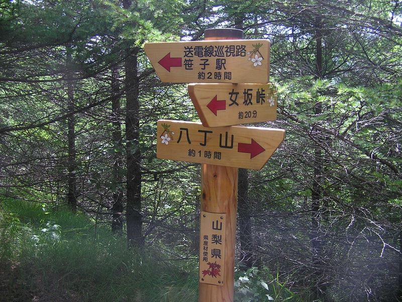 本社ヶ丸 -- やっと縦走路に至る。ここでは八丁山方面へ