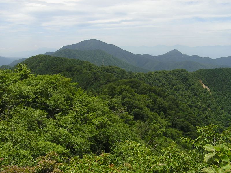 清八山頂より西方を望む