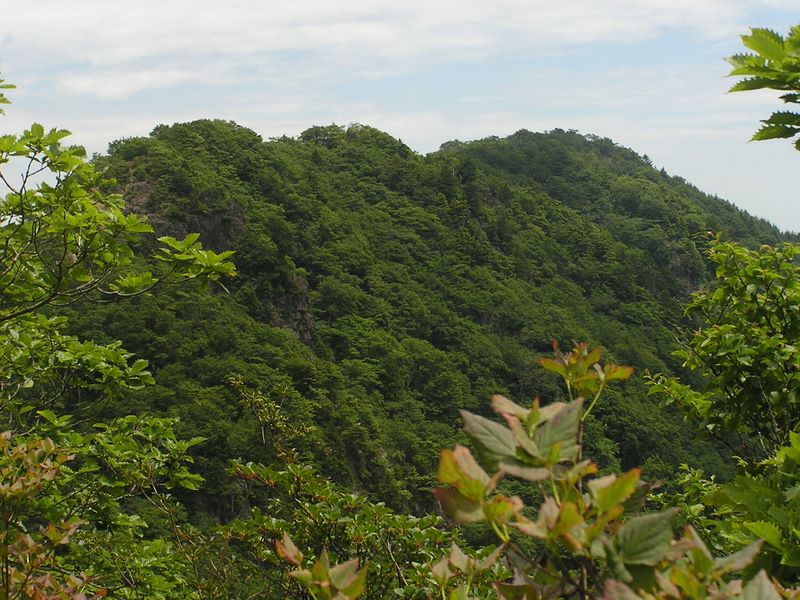 清八山頂より本社ヶ丸を望む