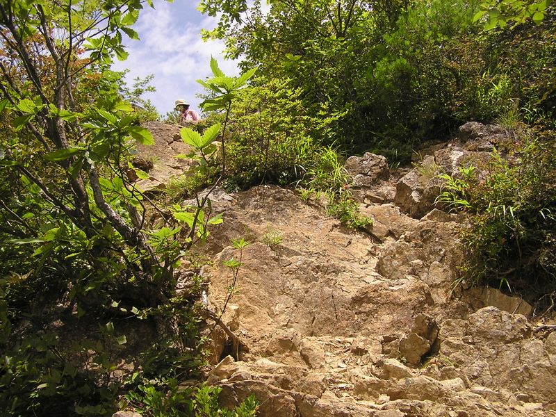 本社ヶ丸 -- この上に岩のテラス