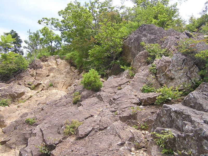 まもなく本社ヶ丸山頂