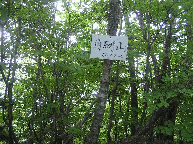 本社ヶ丸 -- ここから笹子駅方面に下れそうな道がある