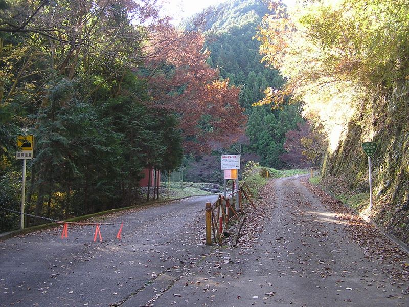 市道山・臼杵山 -- この分岐から右へ、「林道ににく沢線」を登った
