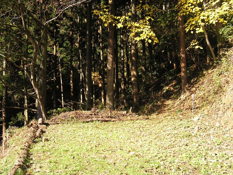 市道山・臼杵山 -- 林道ににく沢線はここで終り