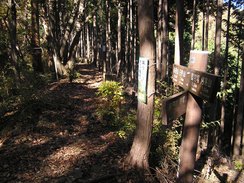市道山・臼杵山 -- 市道山方面への道