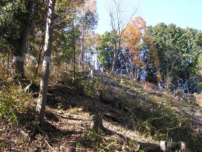 市道山・臼杵山 -- まもなく市道山