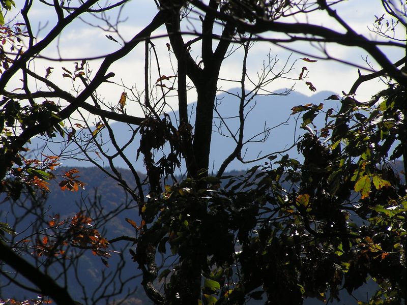 市道山・臼杵山 -- 南方に見えるは、丹沢三峰かな？