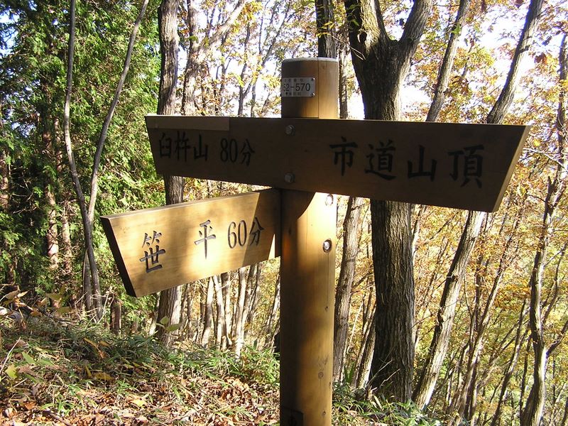 市道山・臼杵山 -- 笹平への道を左に分ける