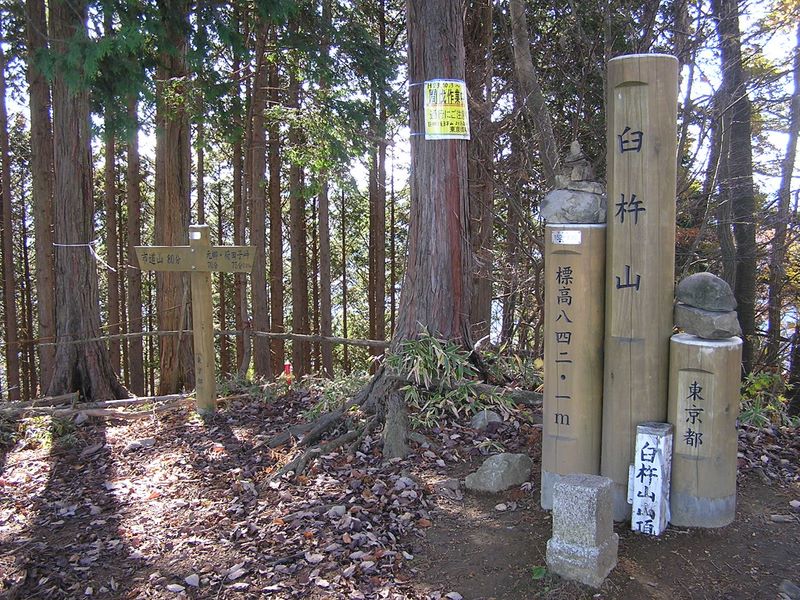 市道山・臼杵山 -- 臼杵山頂